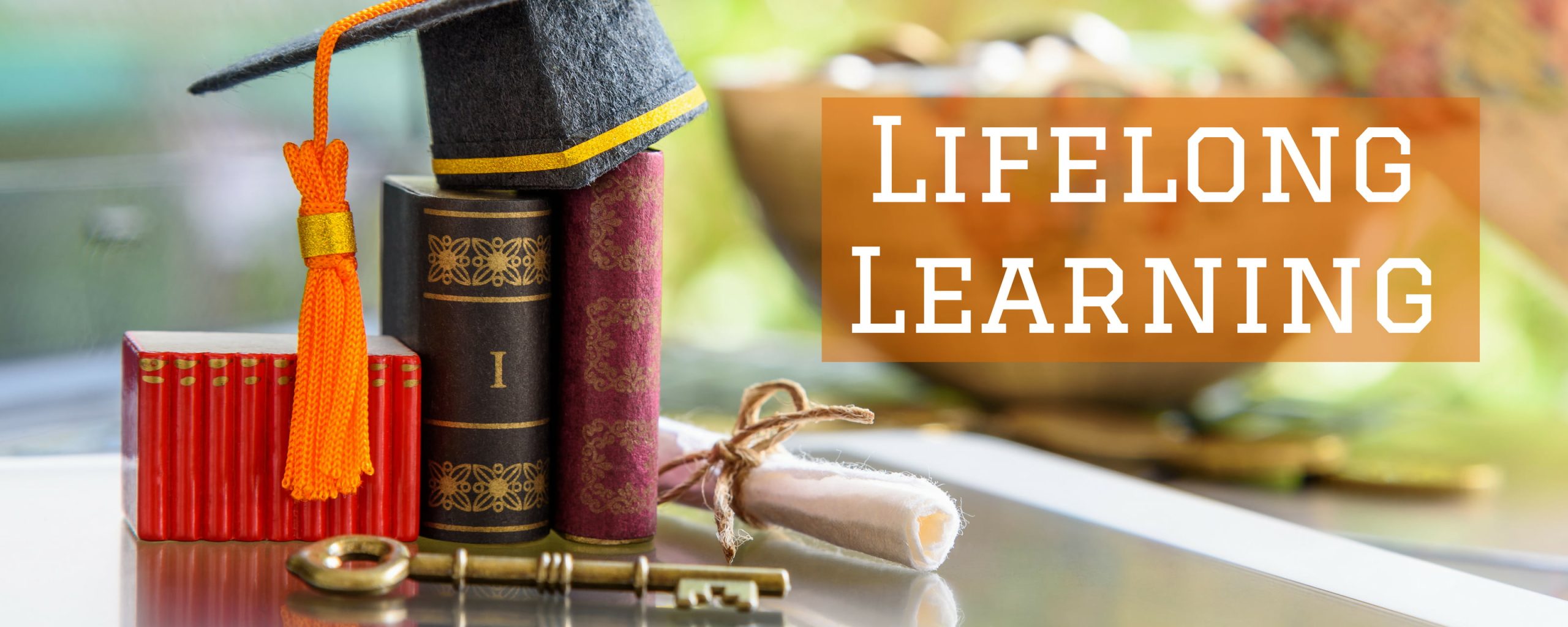 Lifelong Learning