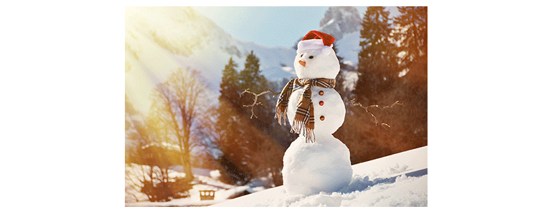 Chemistry Multimedia says happy holidays!